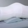 bluebolster2-2_500x