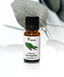 Verana 100% natuurlijke Etherische Olie Eucalyptus 10ml